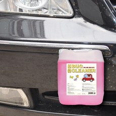 버클 18.75L 이물질 오염물 벌레제거제 버그리무버 버그크리너, 1개