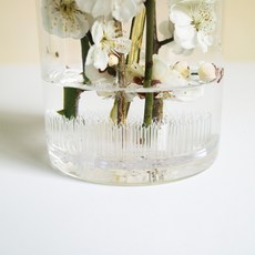 원형 꽃받침 수경재배 투명 식물지지대