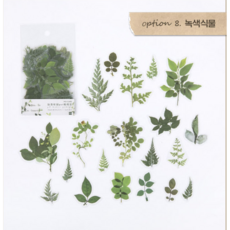 압화 꽃 스티커 팩 40pcs, 1세트, 녹색식물