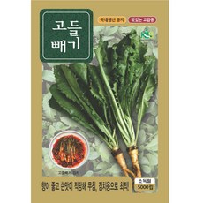 영농사 고들빼기 씨앗 5000립, 2개