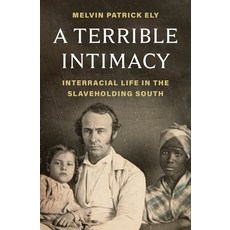 (英文圖書)A Terrible Intimacy: Interracial Life in the Slaveholding South 精裝版, Henry Holt & Company, English, Hardcover