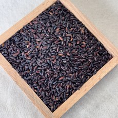 영원농산 2025년산 햅쌀 흑미 국산 진도 특품 검정쌀 찰진주 찰진흑미쌀 흑미떡 흑진주, 2kg, 1개