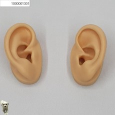 꿀이맘 귀모형 왼쪽 교육용 인체모형