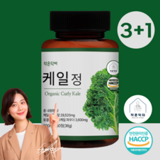 작은닥터 동결건조 컬리 케일 33120mg 곱슬 케일 100% 식약청 HACCP 인증 정, 4개, 60회분