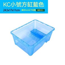 KC 小號方形缸 白色 24.5x17x11cm 適合5cm以下幼龜 水陸兩用生態飼養箱, 1個, 【24.5*17*11CM】透明藍