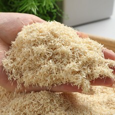 爬寵墊料 木屑 倉鼠墊料 蛇墊料 白楊木屑 吸濕 易清理 無塵, 1個, 小號1.5KG, 1.5KG