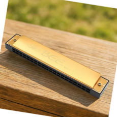 금색하모니카 20홀 하모니카 황금빛 멜로디, 본상품