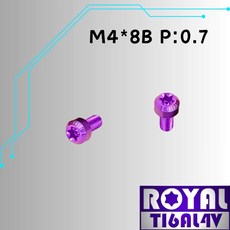 ROYAL 鈦合金螺絲 M4*8B P:0.7 錐形螺絲, 1個