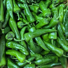 [금성식품]중국고추 중국야채 중국동북고추 매운풋고추 라메이즈고추1kg, 1kg, 1개