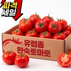 [한정초특가] 국내산 유럽종 완숙토마토 아삭 풍미가득, 1박스, 10kg