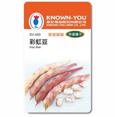 KNOWN-YOU 彩虹豆種子 SV-455 家庭園藝特選種子，豆莢色彩鮮豔，種植簡單，適合新手, 1個