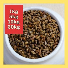 볶아서 더 고소한 국산 볶은 결명자 볶음 결명자 결명자차, 1개, 1kg