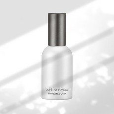 정샘물 에센셜 물 크림 오리지널, 1개