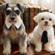 참새방아깐 강아지용 턱시도 카라 넥타이 펫턱시도넥타이, L 체크