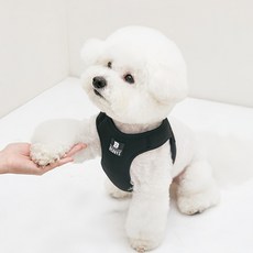 Bennys 寵物背心式胸背帶牽繩, 黑色, 1個