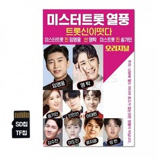 미스터트롯 열풍 SD칩, 단품