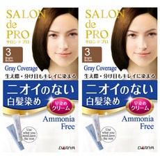 살롱드프로 냄새없는 일본염색약 새치 부분염색 여성용 흰머리커버, 3호보다밝은갈색, 2개