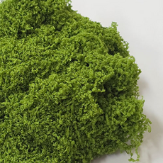 인조이끼 테라리움 미니정원 꾸미기 조화이끼 100g