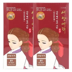 새앙머리 다빛 새치커버 허브 크림 염색약 (새치커버/패션컬러)허브염모제, 2개, 8와이 밝은황갈색