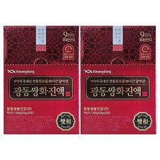 광동제약 광동 쌍화진액, 25g, 20개입, 2개