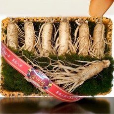 6년근 풍기 인삼 수삼 원수삼 최상급 선물세트 9호 / 왕왕대 1kg / 6~7뿌리, 1세트