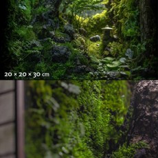 이끼 활착 천 붙이는 대형 구멍난 식재용 수경 조경, 2_야아부 S호