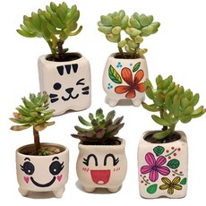 만들기대장 다육식물 화분 꾸며만들기 984975, 단품, 1개