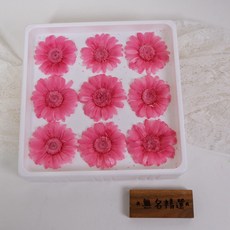 非洲菊永生花 花藝材料 4.3cm大花頭 滴膠素材 乾燥花, 甜蜜深粉（一盒9朵）, 甜蜜深粉