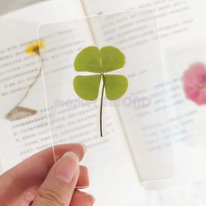 네잎클로버 코팅 카드 투명 책갈피 행운의 선물 대량 단체, 단품, 단품
