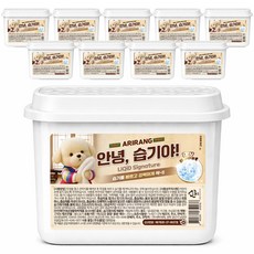 제습제 안녕습기야 옷장제습 물먹는 습기제거제, 10개, 250g