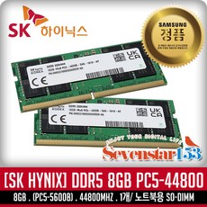 SK하이닉스 [SK하이닉스/정품] 노트북 DDR5-5600 (8GB) ~7S153, 1개