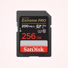 샌디스크코리아 공식인증정품 SD카드 SDXC Extreme Pro 익스트림 프로 UHS-I SDXXD 256GB, 1개