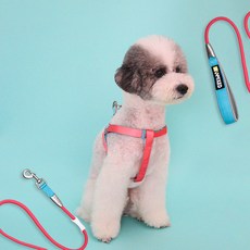 올투펫 강아지 멀티컬러 스트랩 하네스+리드줄 세트, 핑크 M, 핑크 M, 핑크_M