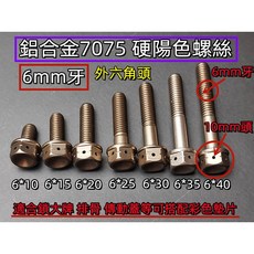 7075鋁合金輕量化螺絲 6mm系列 硬陽色 適用於鎖大牌 傳動蓋 排骨, 1個, 6mm*20mm長