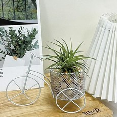 좋은 사람들 자전거를 탄 편백큐브와 이오난사 - 1인세트 스컬피 도예클레이, 해당상품, 1