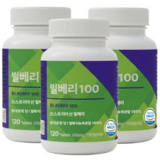 빌베리 100 정 식약처 HACCP 인증, 3개, 120정