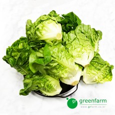 미니코스 2kg, 1개