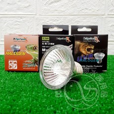 Petpetzone UVB 鹵素燈泡, 1個, 爬蟲先生 25W