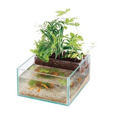 水作 魚草生態缸 寬190 深210 高100 mm 實體店面, 1個