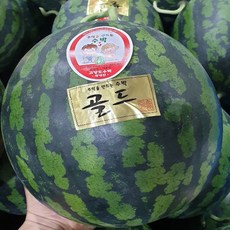 가람상점 수박 맛없는 주스용, 1개, 4kg 미만