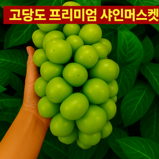 [올셀] 샤인머스켓 포도 / 고당도 국내산 정품 실속, 1개, 정품 2kg 내외 (3~4수)