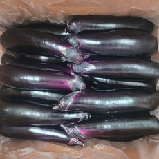 국내산 가지 특품 당일경매, 가지 특품 1kg, 1개