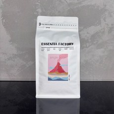 에센티아팩토리 원두 커피 500g 에티오피아 예가체프 G2 홀빈, 모카포트[가정용에스프레소], 05. 올인원, 1