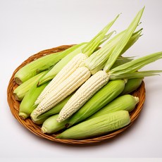 청담채 괴산 대학 찰옥수수, 30개, 특 17cm내외