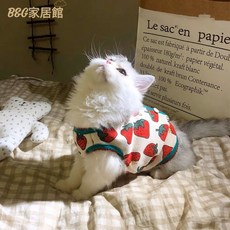 貓咪狗狗保暖背心 大顆莓莓檸檬薄絨寵物衣服 秋冬ins貓衣服, 隨機顏色, 1個