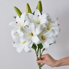 하스몰 리얼 플라워 백합 조화 인테리어 장식 꽃, 화이트, 1개