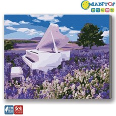 MANTO!數字油畫 大尺寸50x65cm 釘好內框 居家裝飾 療癒繪畫, 普羅旺斯精靈, 1套