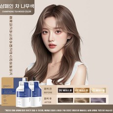 2026 트렌드 2봉지 600ml 입 염색약 향기 좋고 살롱급 케어 유행하는 예쁜 컬러로 흰머리 커버 가능 탈색 불필요 셀프 염색, 1개, 샴페인 차 나무색