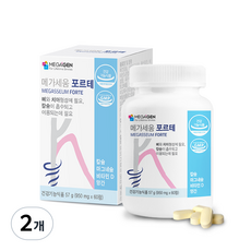 메가세움 포르테 치아 뼈 건강 마그네슘 칼슘, 60정, 2개