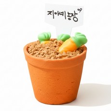 아이랑 함께 만드는 화분까지 먹는 당근젤리 미니 컵케이크 DIY 1인 만들기 놀이 세트